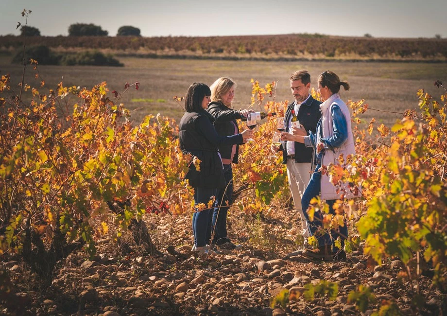 El vino en su paisaje (SÁB, DOM Y FESTIVOS CON CITA PREVIA)