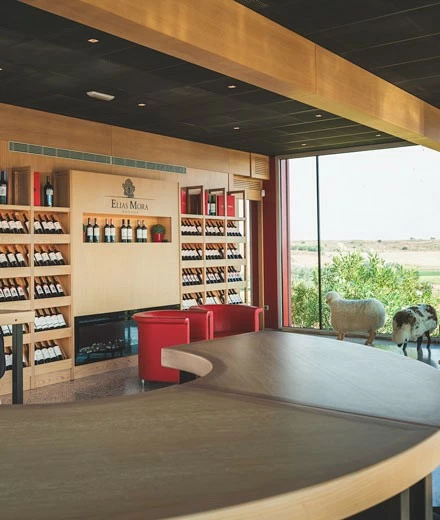 Bodega Elías Mora: donde tradición y excelencia se encuentran