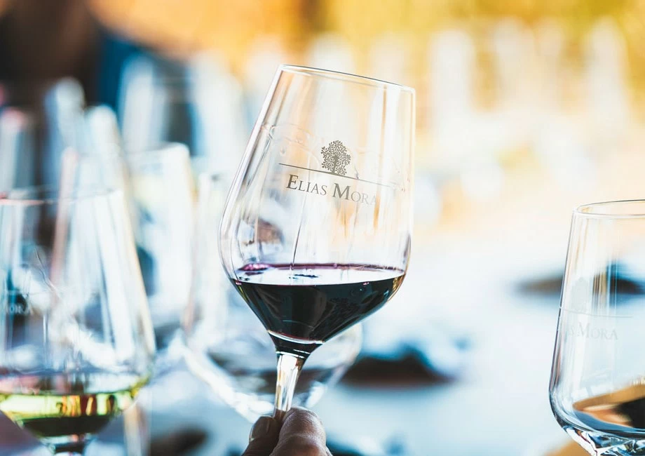 El vino en su paisaje (SÁB, DOM Y FESTIVOS CON CITA PREVIA)