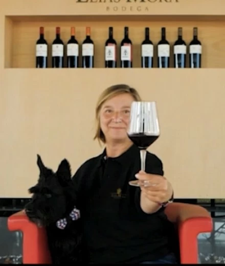 Willkommen in unserem Weingut Willkommen in unserem Weingut