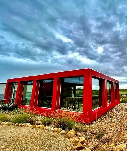 Bodega Elías Mora: where tradition and exellence meet