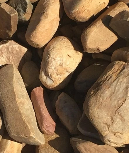 Vineyards that tell our story