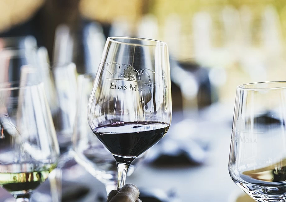 International wines Tasting Course (SATURDAY, SUNDAY AND PUBLIC HOLIDAYS BY APPOINTMENT)