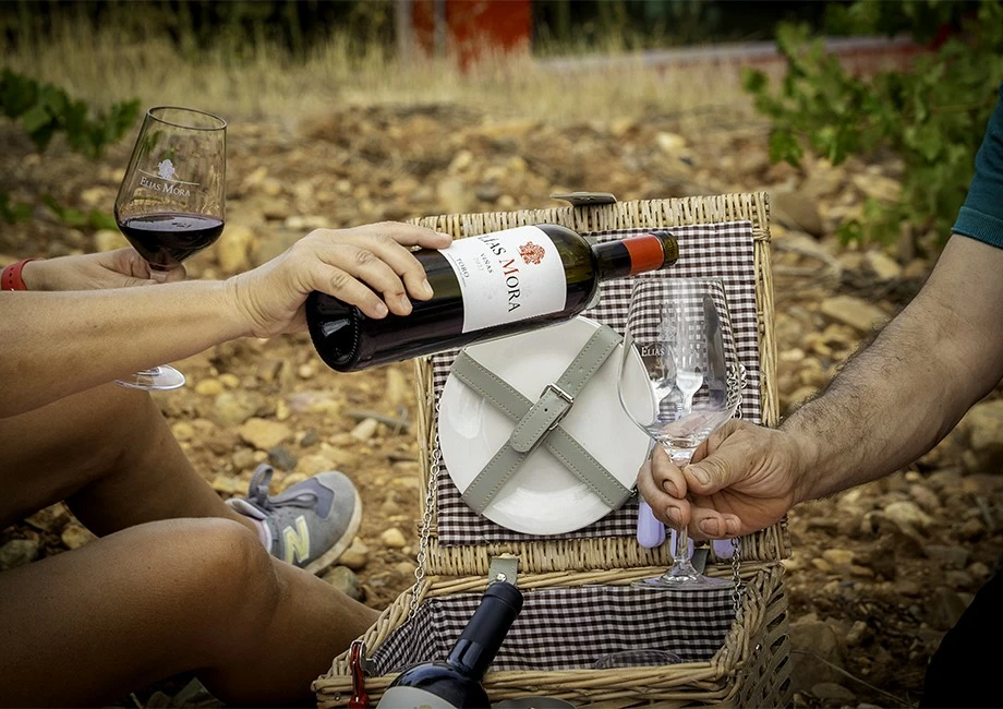 Elías Mora Básica (DE LUNES A VIERNES CON CITA PREVIA) Elías Mora Básica (DE LUNES A VIERNES CON CITA PREVIA)