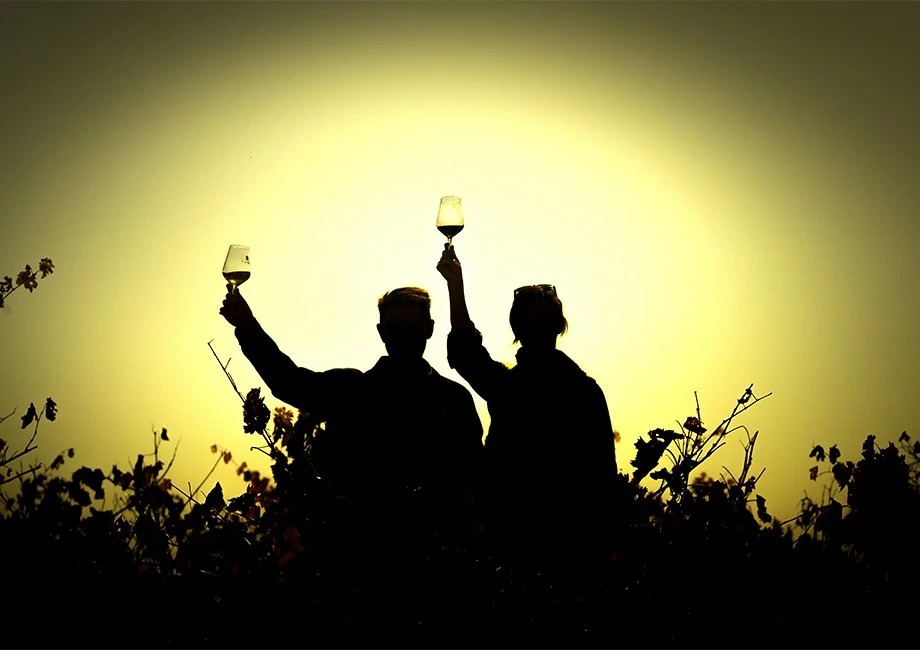 Great Vintages (SATURDAY, SUNDAY AND PUBLIC HOLIDAYS BY APPOINTMENT)