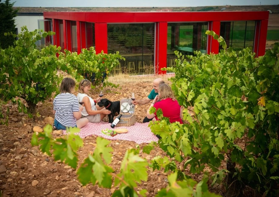 International wines Tasting Course (SATURDAY, SUNDAY AND PUBLIC HOLIDAYS BY APPOINTMENT)